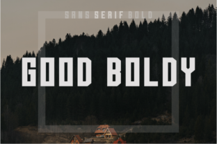 Good Boldy: A Versatile Sans Serif Font for Web Design