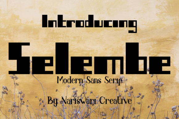 Selembe: The Minimalist Font for Strong Brands